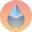 coin image